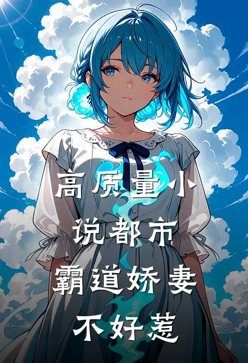 高质量小说都市：霸道娇妻不好惹