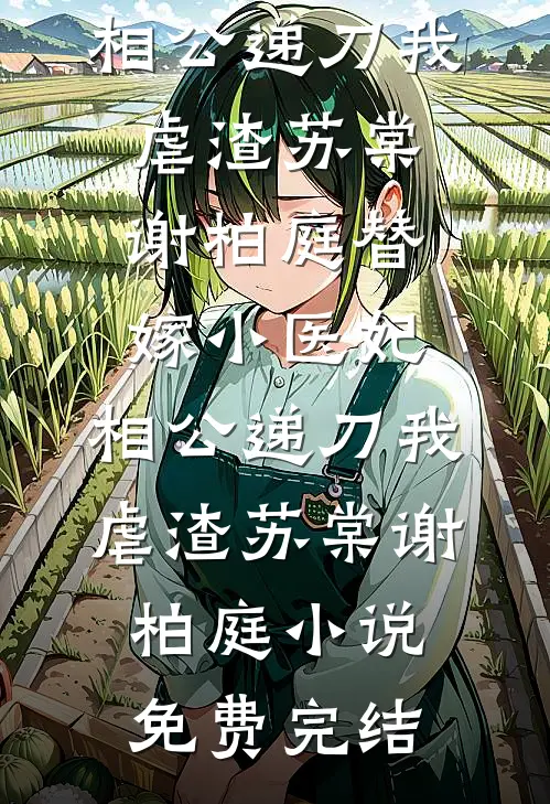 雪落无声，十年霜尽沈听晚季寒洲小说