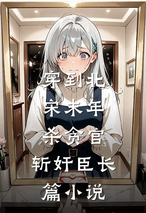 穿到北宋末年，杀贪官，斩奸臣长篇小说