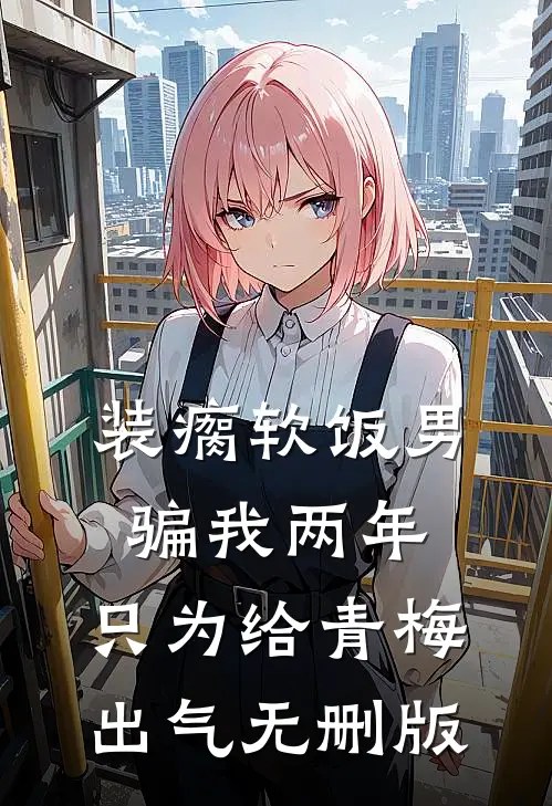 举案齐眉第三年已完结