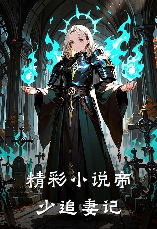 精彩小说帝少追妻记