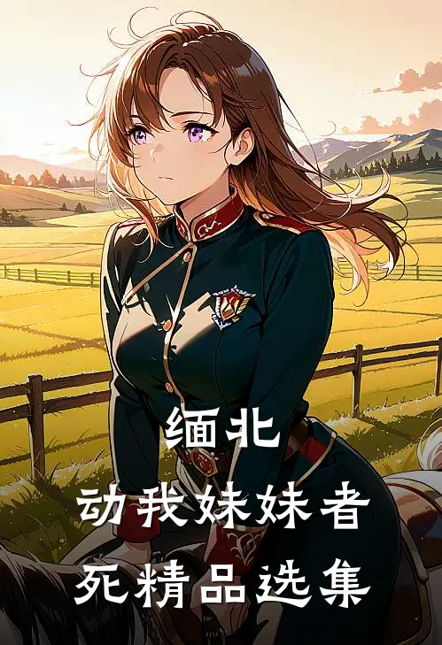 缅北：动我妹妹者死精品选集