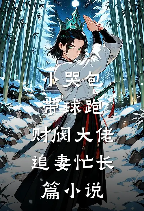 小哭包带球跑，财阀大佬追妻忙长篇小说