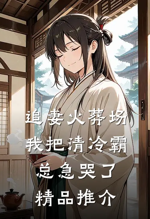 追妻火葬场：我把清冷霸总急哭了精品推介