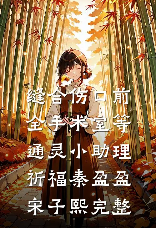 青囊剑影：苏医女的江湖路后续+全文