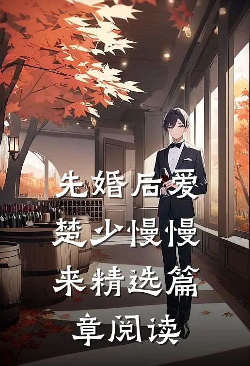 先婚后爱，楚少慢慢来精选篇章阅读