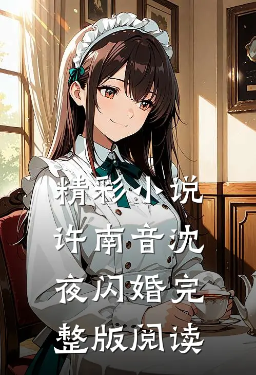 精彩小说许南音沈夜闪婚完整版阅读