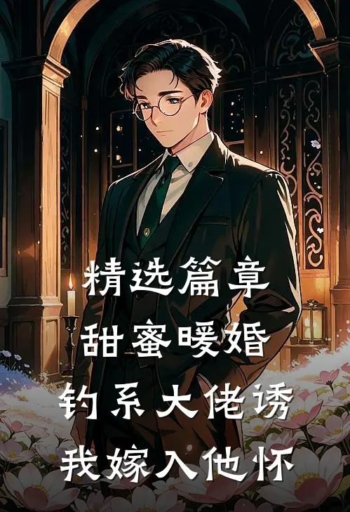 精选篇章甜蜜暖婚：钓系大佬诱我嫁入他怀