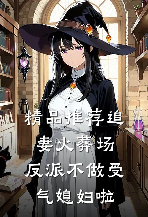精品推荐追妻火葬场：反派不做受气媳妇啦
