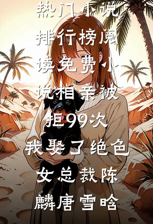 夜阑静听风雪声的小说