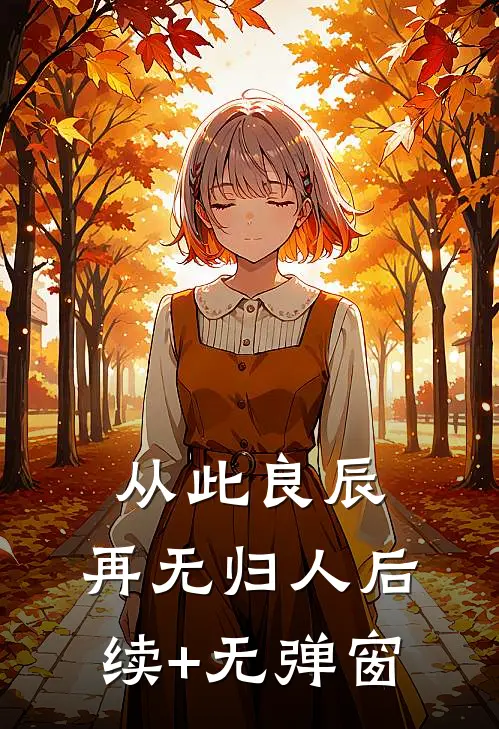 从此良辰，再无归人后续+无弹窗