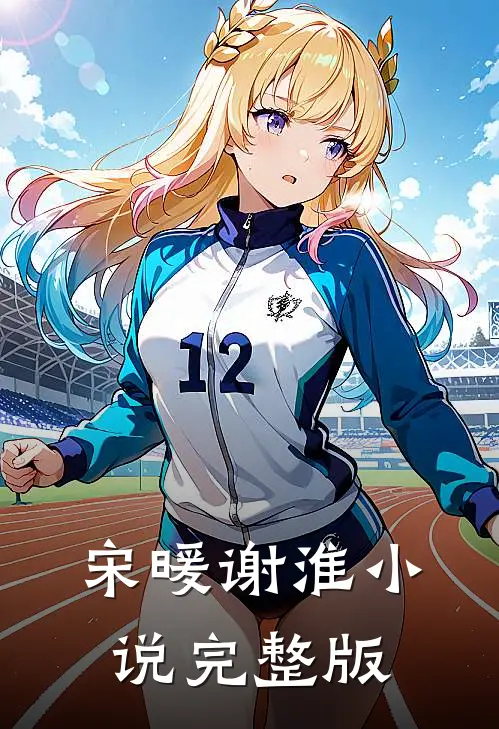 宋暖谢淮小说完整版