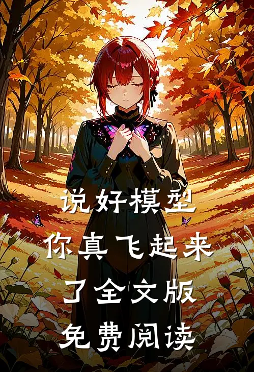 说好模型,你真飞起来了全文版免费阅读