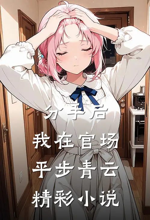 分手后,我在官场平步青云精彩小说