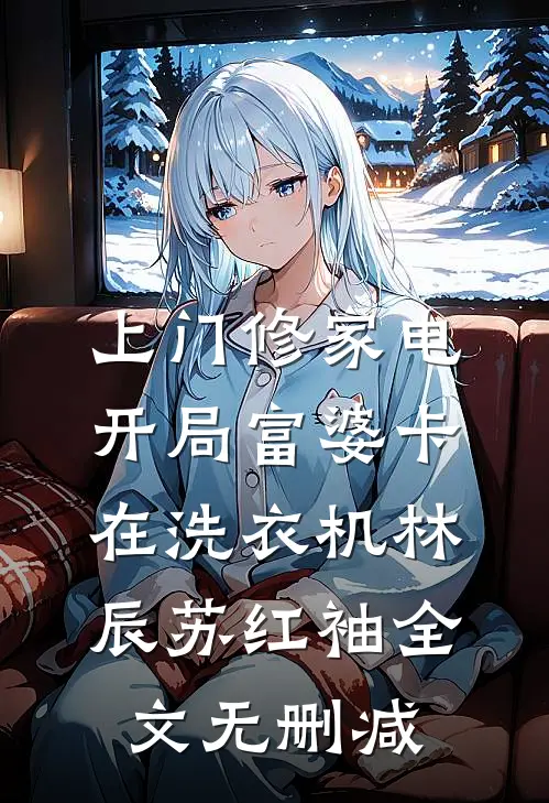南风未诉夜阑珊目录