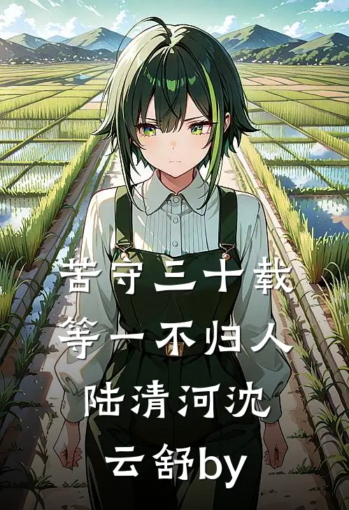 许你一场流星愿前文+番外