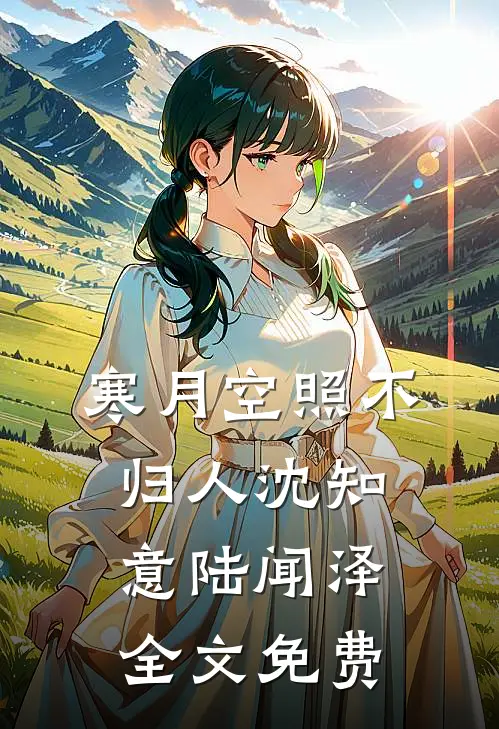 寒月空照不归人沈知意陆闻泽全文免费