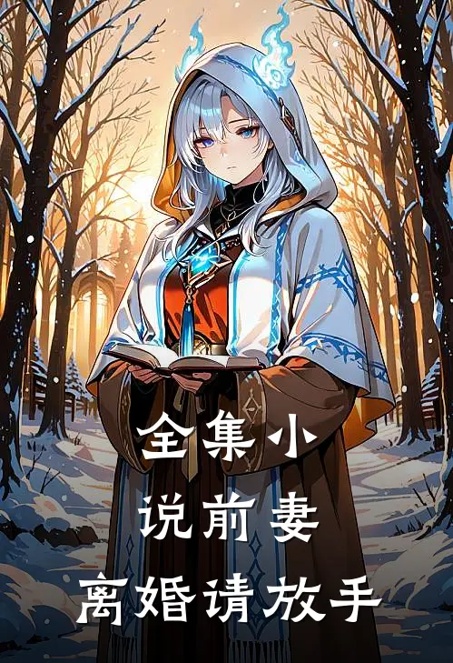 全集小说前妻，离婚请放手