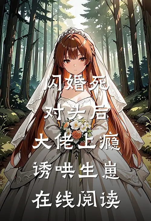 倾城与远之火爆小说