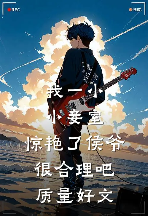 我一小小妾室，惊艳了侯爷很合理吧质量好文