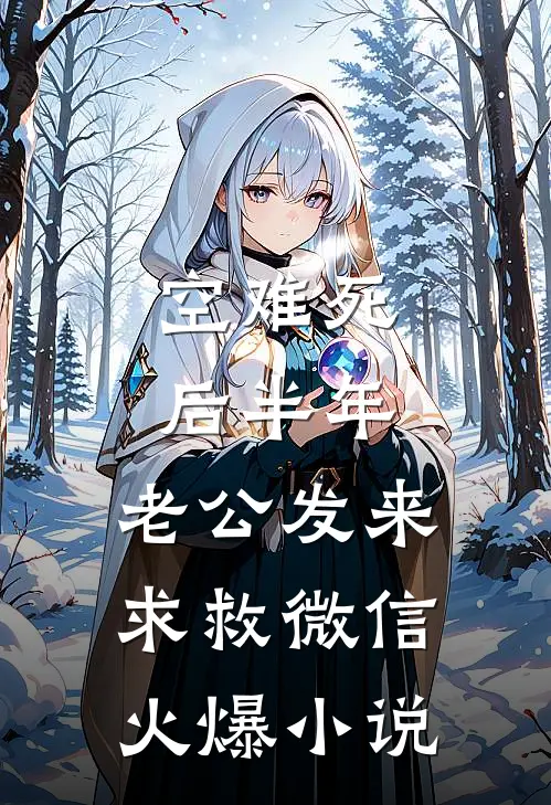 空难死后半年，老公发来求救微信火爆小说