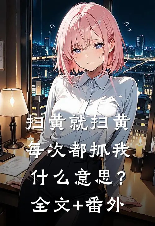 扫黄就扫黄，每次都抓我什么意思？全文+番外