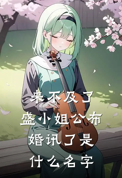 来不及了，盛小姐公布婚讯了是什么名字