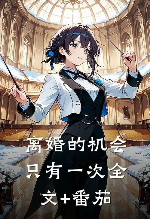 离婚的机会只有一次全文+番茄