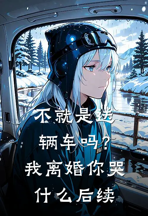 不就是送辆车吗？我离婚你哭什么后续