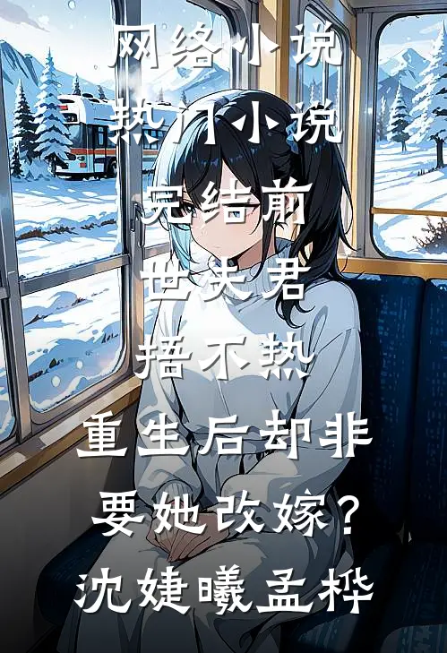 锦书难寄情难再全本