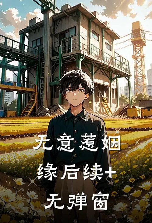 无意惹姻缘后续+无弹窗