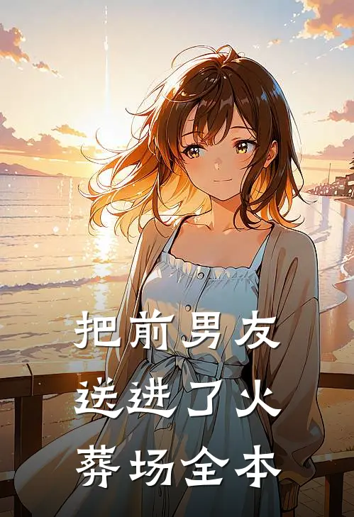 把前男友送进了火葬场全本