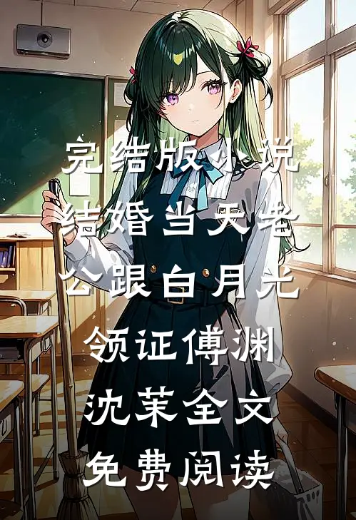 完结版小说结婚当天老公跟白月光领证傅渊沈茉全文免费阅读