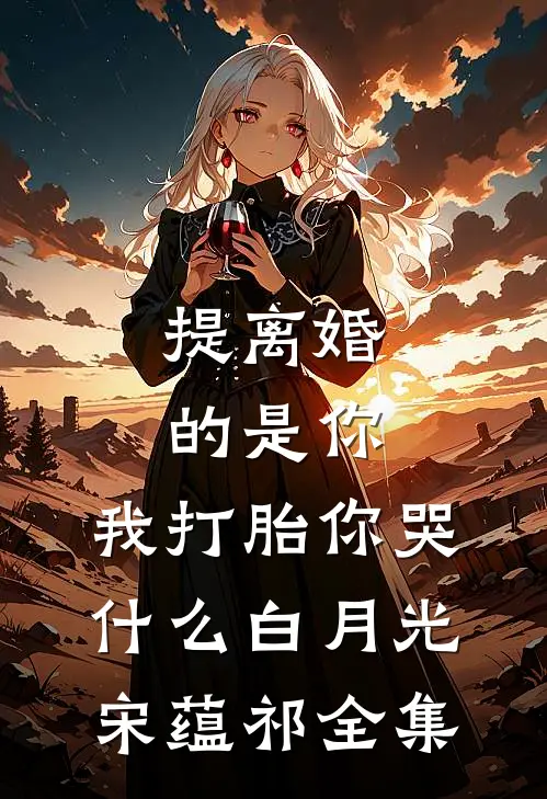 提离婚的是你，我打胎你哭什么白月光宋蕴祁全集