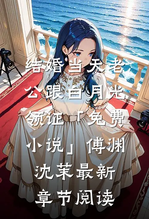 结婚当天老公跟白月光领证「免费小说」傅渊沈茉最新章节阅读