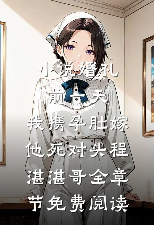 小说婚礼前一天，我携孕肚嫁他死对头程湛湛哥全章节免费阅读