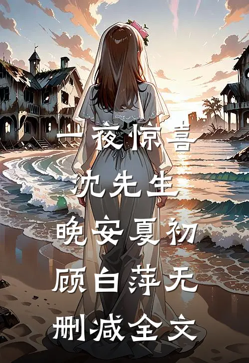 一夜惊喜：沈先生，晚安夏初顾白萍无删减全文