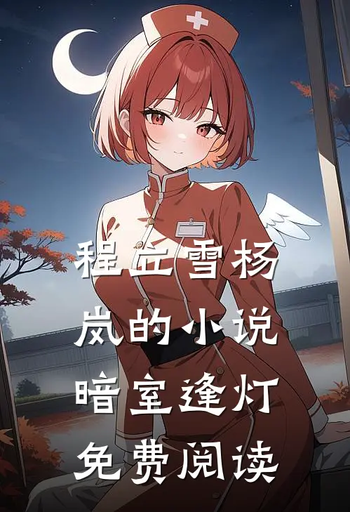 程立雪杨岚的小说暗室逢灯免费阅读
