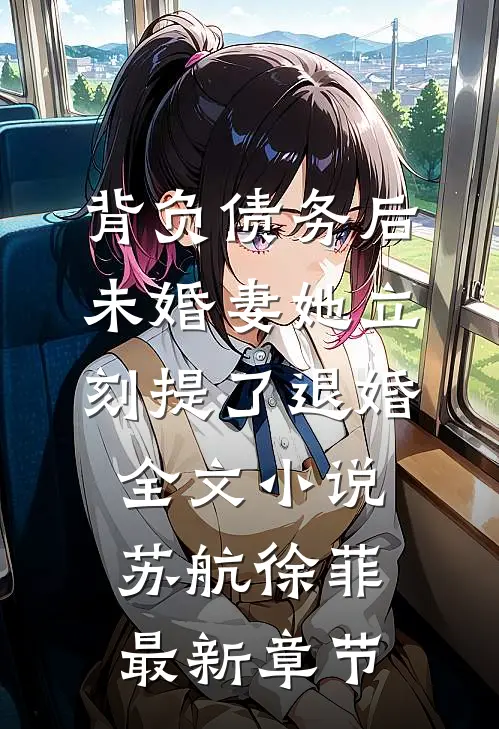 背负债务后，未婚妻她立刻提了退婚全文小说苏航徐菲最新章节