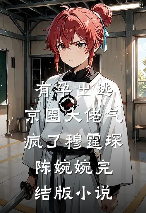 有孕出逃，京圈大佬气疯了穆霆琛陈婉婉完结版小说