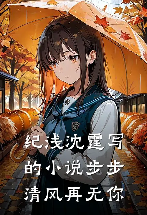 纪浅沈霆写的小说步步清风再无你