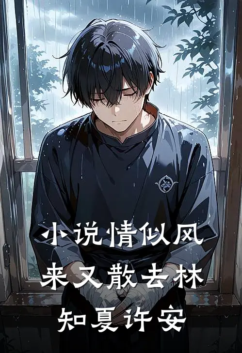 小说情似风来又散去(林知夏许安)