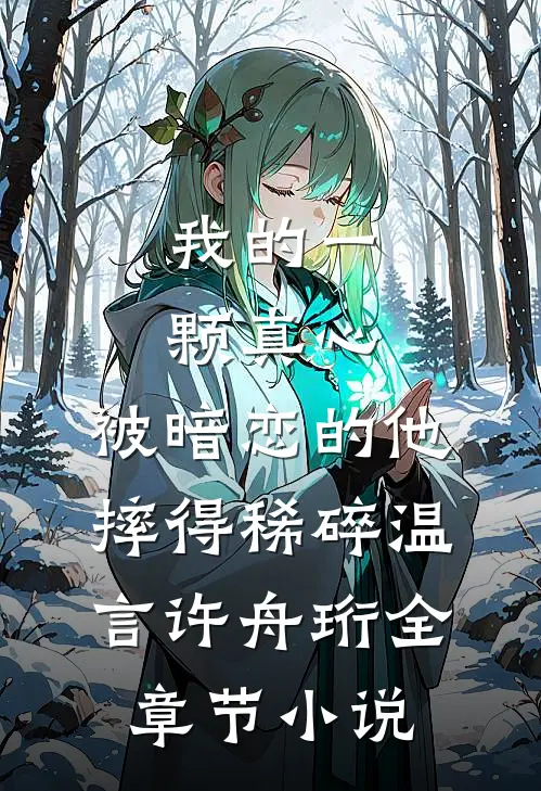 我的一颗真心，被暗恋的他摔得稀碎温言许舟珩全章节小说