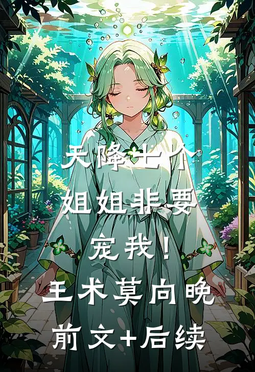 天降七个姐姐非要宠我！王术莫向晚前文+后续