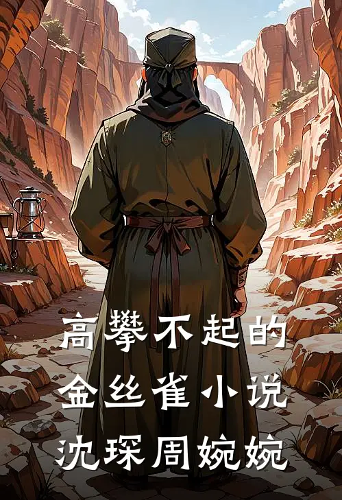 高攀不起的金丝雀小说沈琛周婉婉