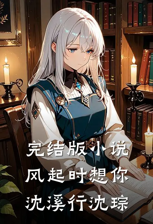 完结版小说风起时想你沈溪行沈琮
