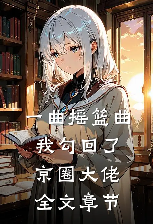 告别在落日之前全本