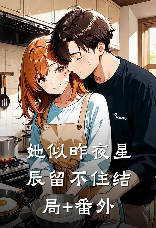 她似昨夜星辰留不住结局+番外