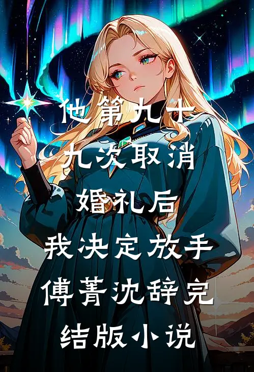 他第九十九次取消婚礼后，我决定放手傅菁沈辞完结版小说