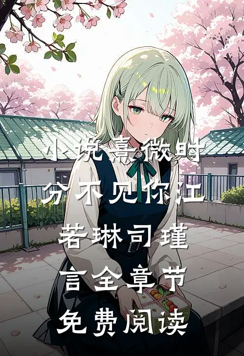 小说熹微时分不见你江若琳司瑾言全章节免费阅读